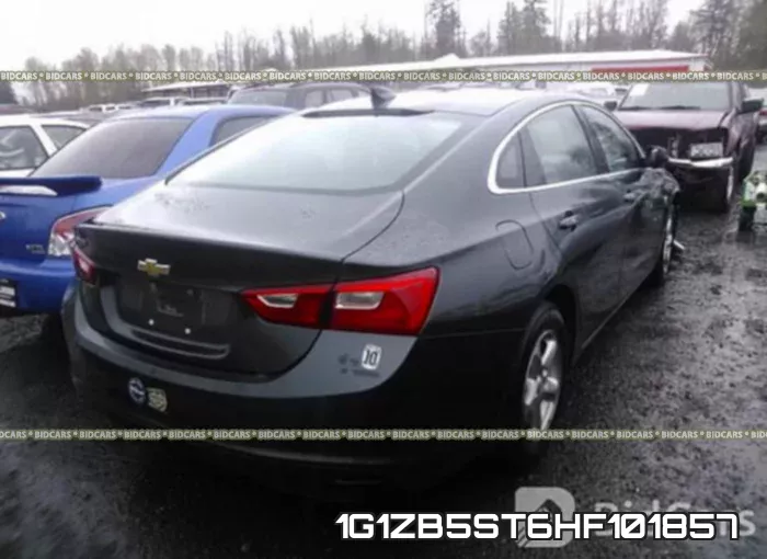 1G1ZB5ST6HF101857 фото 5