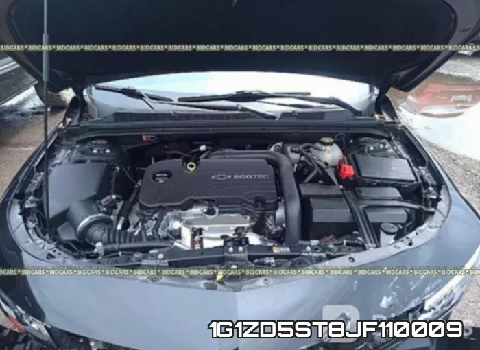 1G1ZD5ST8JF110009 фото 2