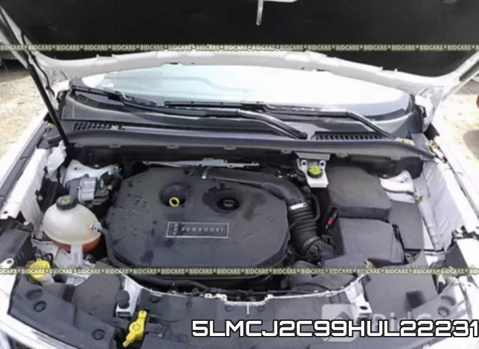 5LMCJ2C99HUL22231 фото 2