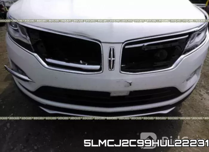 5LMCJ2C99HUL22231 фото 7