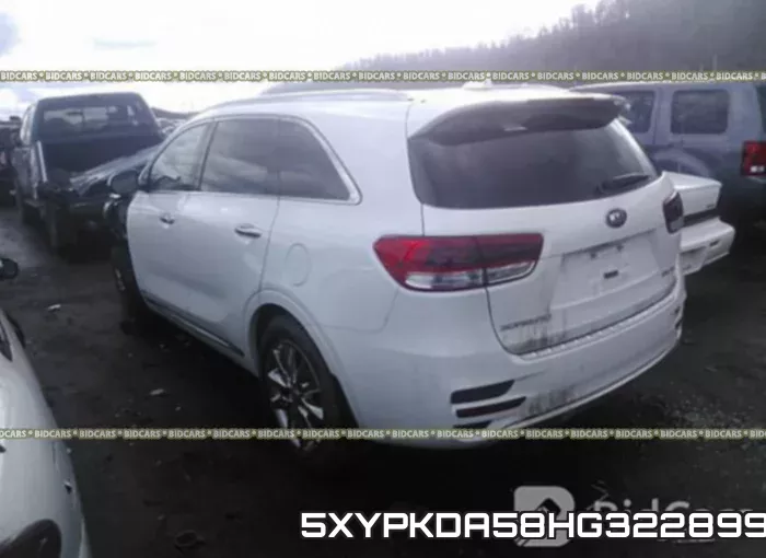 5XYPKDA58HG322899 фото 4