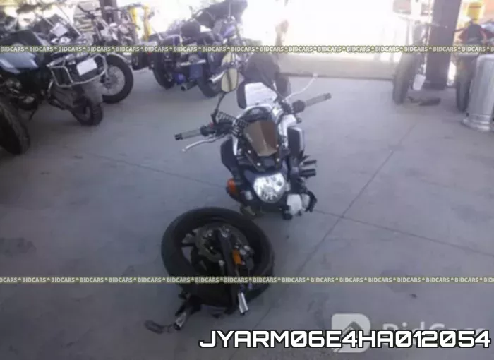 JYARM06E4HA012054 фото 6