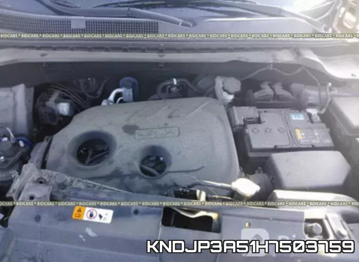 KNDJP3A51H7503759 фото 2
