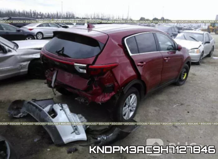 KNDPM3AC9H7127846 фото 4