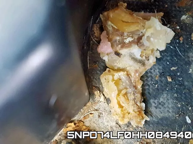 5NPD74LF0HH084940 фото 10