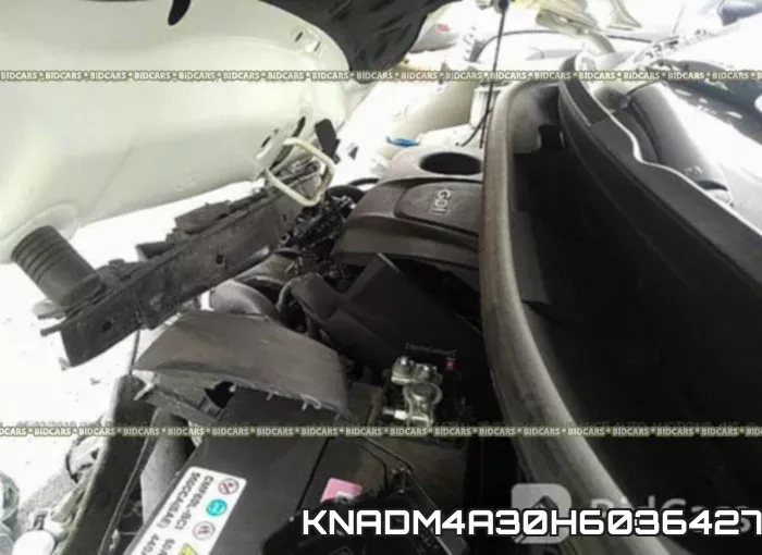 KNADM4A30H6036427 фото 2
