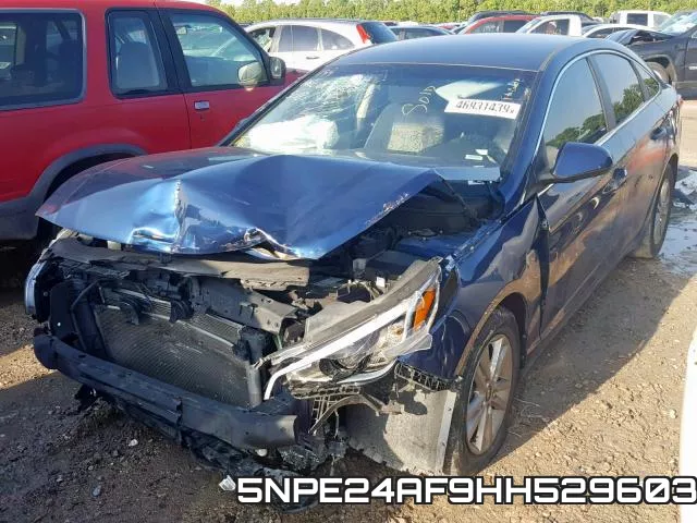 5NPE24AF9HH529603 фото 3