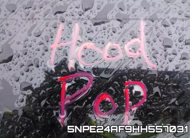 5NPE24AF9HH557031 фото 2