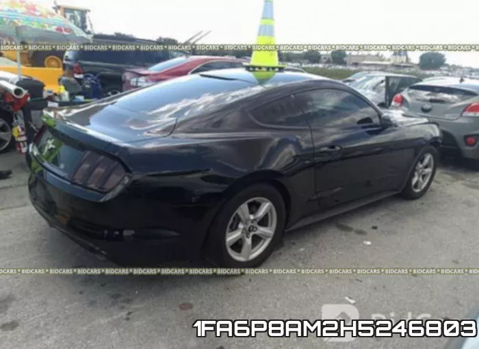 1FA6P8AM2H5246803 фото 5