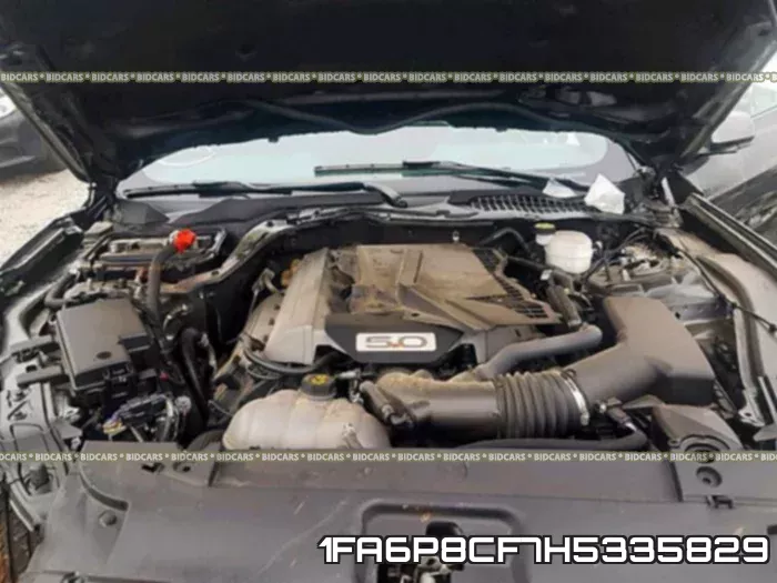 1FA6P8CF7H5335829 фото 8