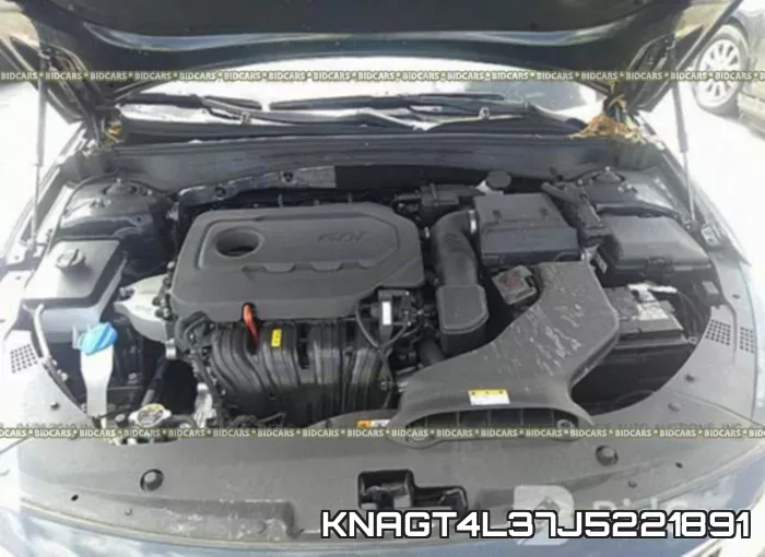 KNAGT4L37J5221891 фото 2