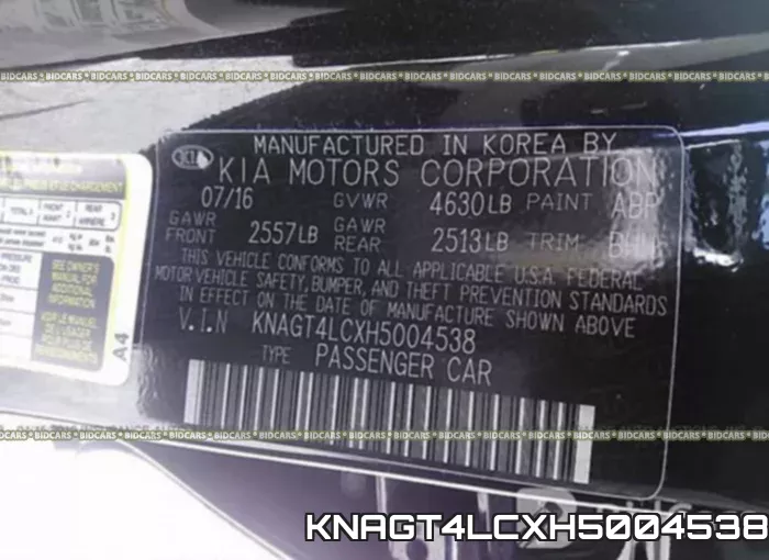 KNAGT4LCXH5004538 фото 10
