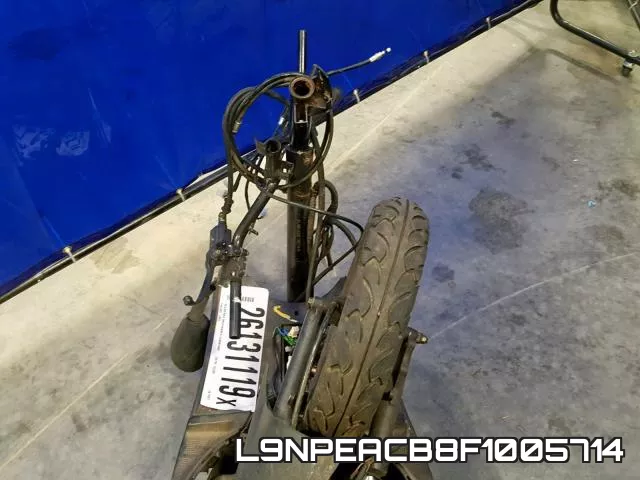 L9NPEACB8F1005714 фото 6