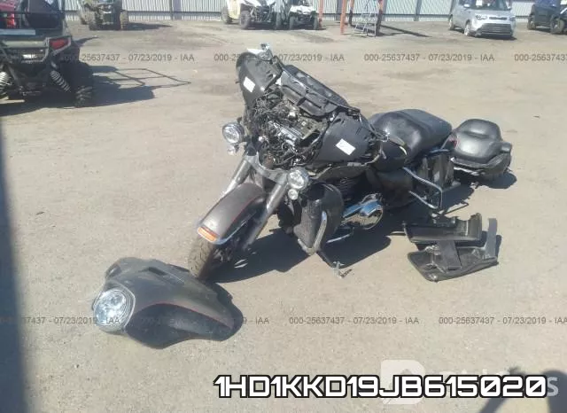 1HD1KKD19JB615020 фото 3