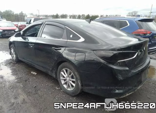 5NPE24AF7JH665220 фото 4