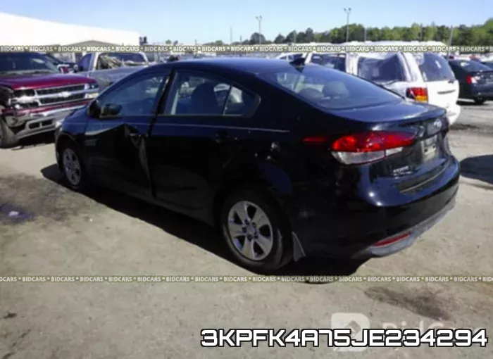 3KPFK4A75JE234294 фото 4