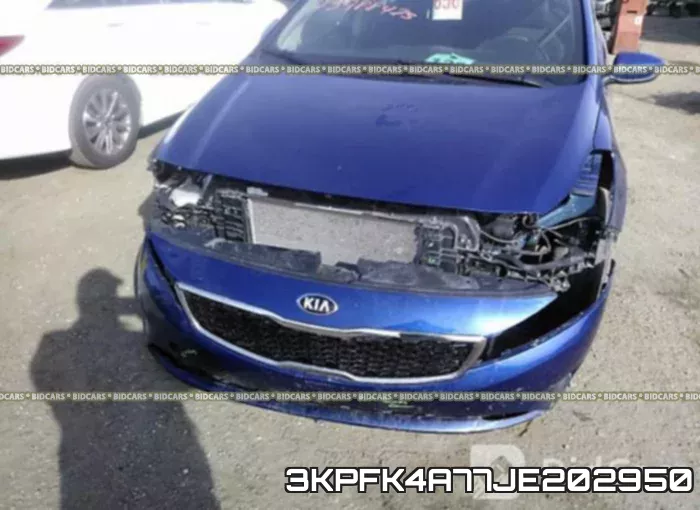 3KPFK4A77JE202950 фото 7