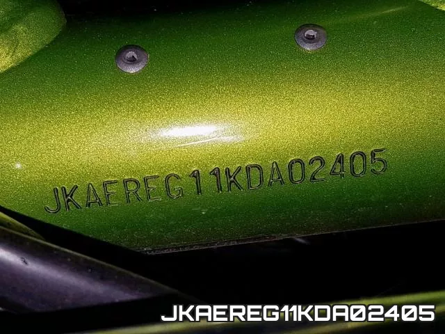 JKAEREG11KDA02405 фото 2