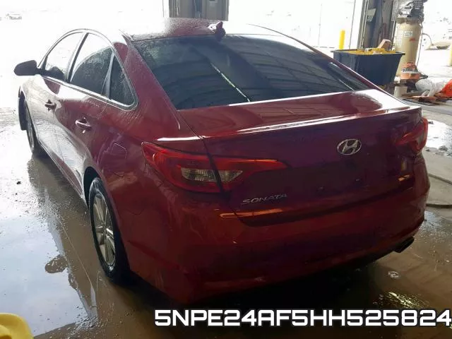5NPE24AF5HH525824 фото 4