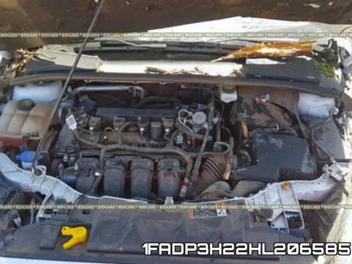 1FADP3H22HL206585 фото 8