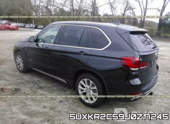 5UXKR2C59J0Z17245 фото 4