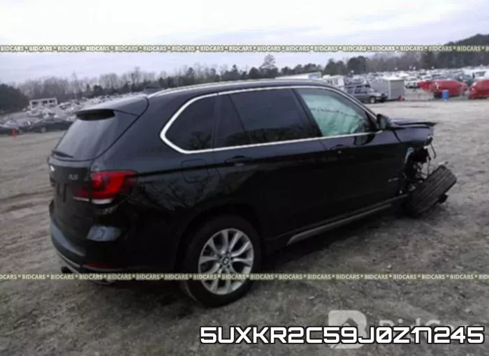 5UXKR2C59J0Z17245 фото 5