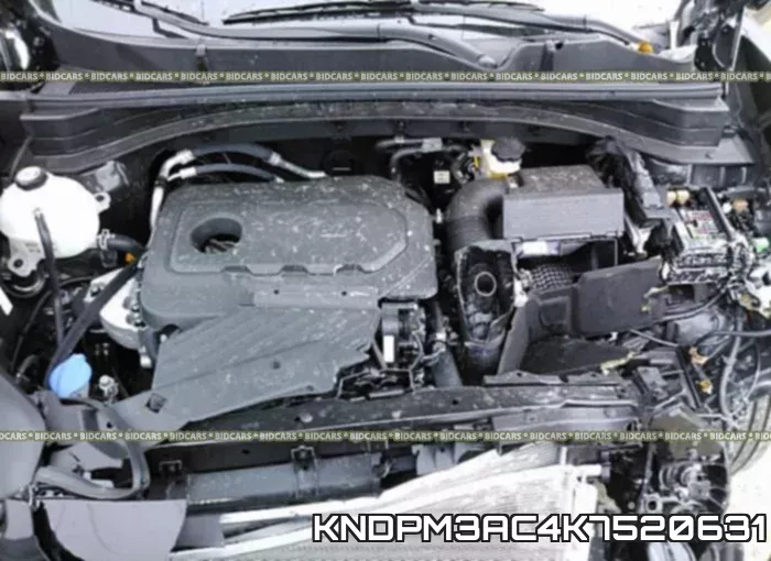 KNDPM3AC4K7520631 фото 2