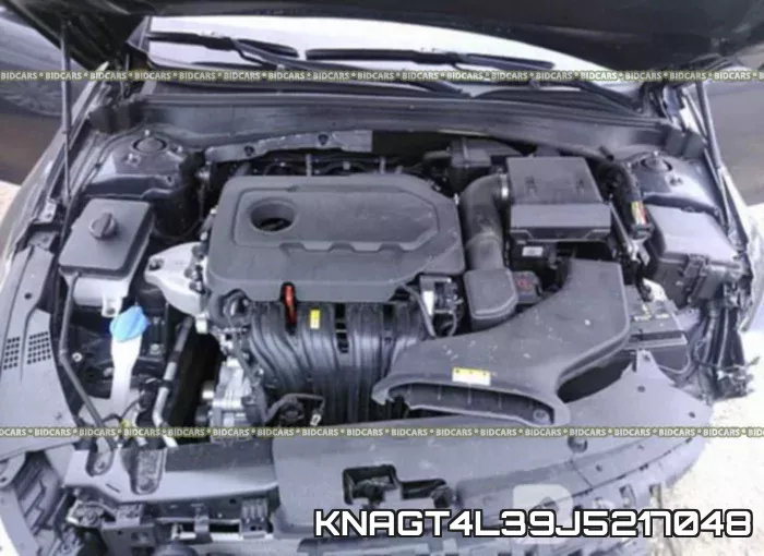 KNAGT4L39J5217048 фото 2