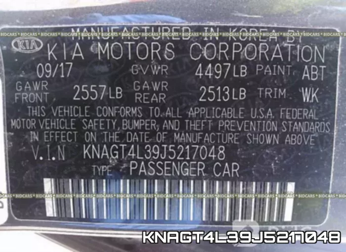 KNAGT4L39J5217048 фото 10