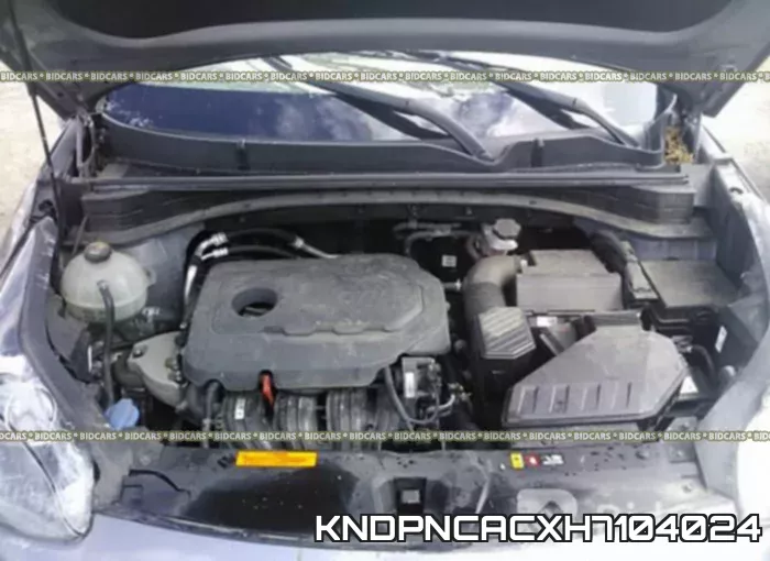 KNDPNCACXH7104024 фото 2