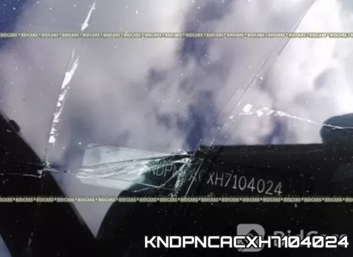 KNDPNCACXH7104024 фото 10