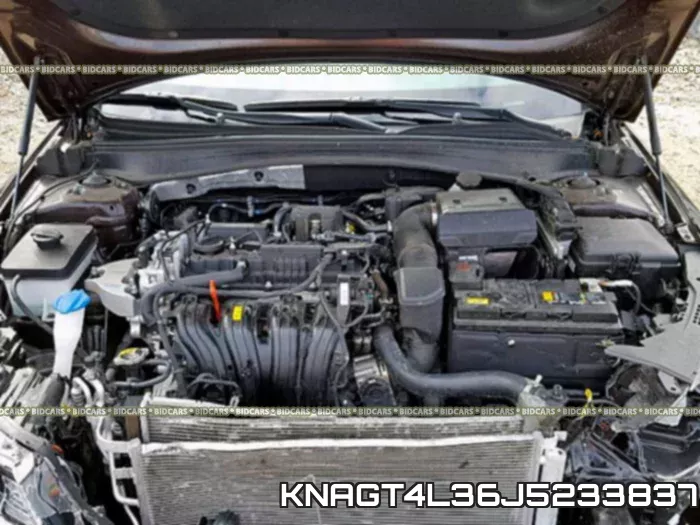 KNAGT4L36J5233837 фото 8