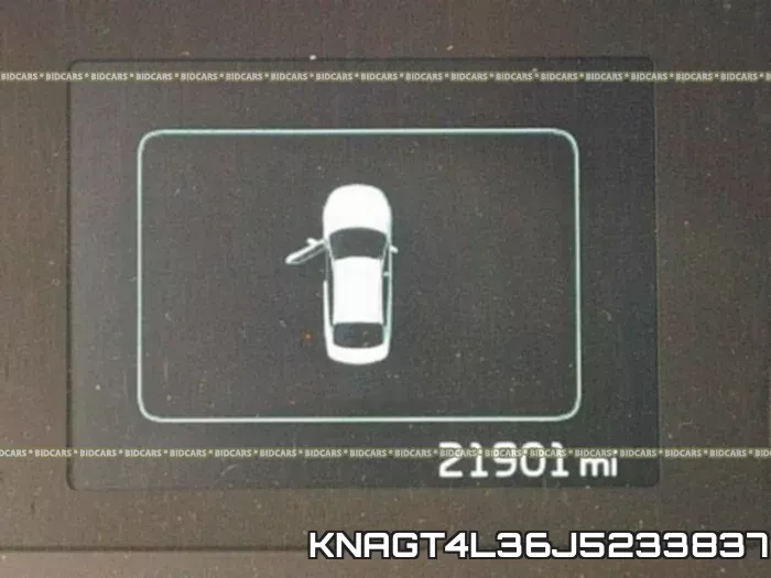 KNAGT4L36J5233837 фото 9