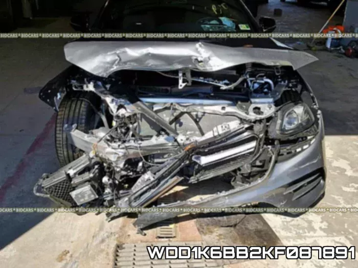 WDD1K6BB2KF087891 фото 10