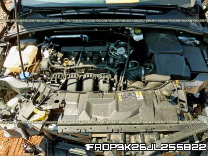 1FADP3K26JL255822 фото 8