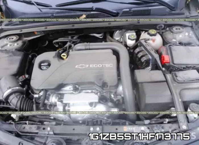 1G1ZB5ST1HF173775 фото 2