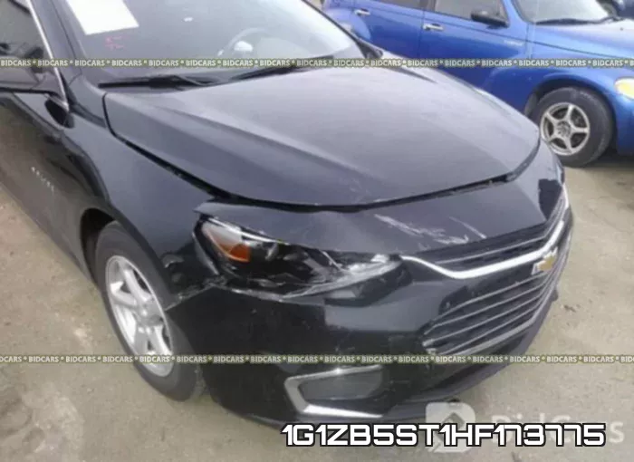 1G1ZB5ST1HF173775 фото 7