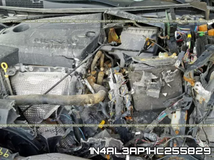 1N4AL3AP1HC255829 фото 8