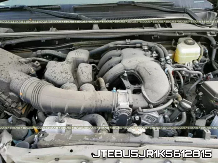 JTEBU5JR1K5612815 фото 8