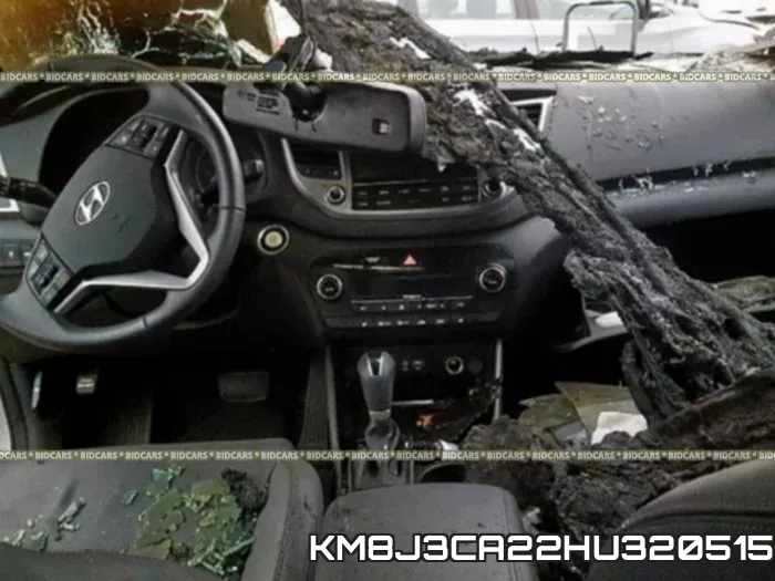 KM8J3CA22HU320515 фото 9