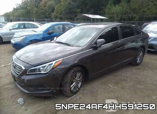 5NPE24AF4HH591250 фото 3