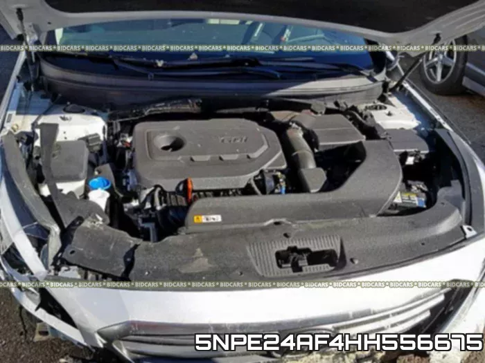 5NPE24AF4HH556675 фото 8