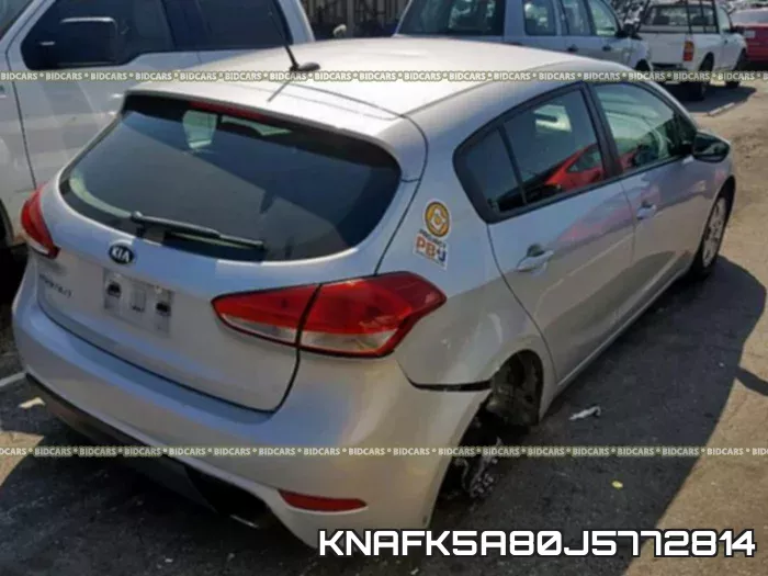 KNAFK5A80J5772814 фото 5