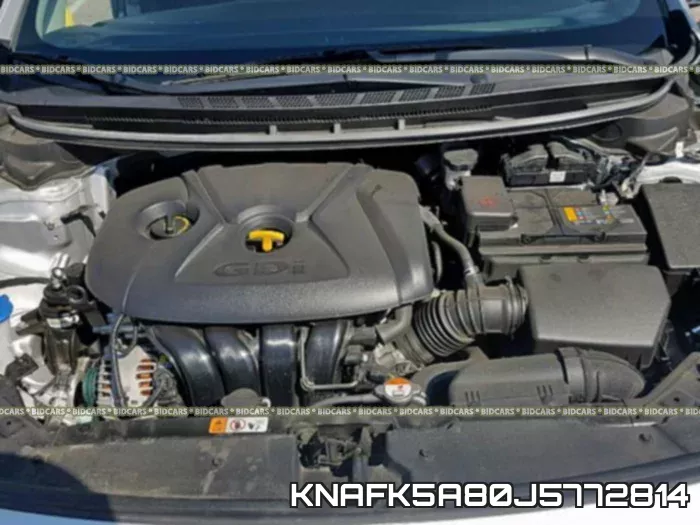 KNAFK5A80J5772814 фото 8