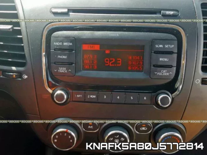 KNAFK5A80J5772814 фото 10