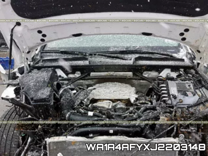 WA1A4AFYXJ2203148 фото 7