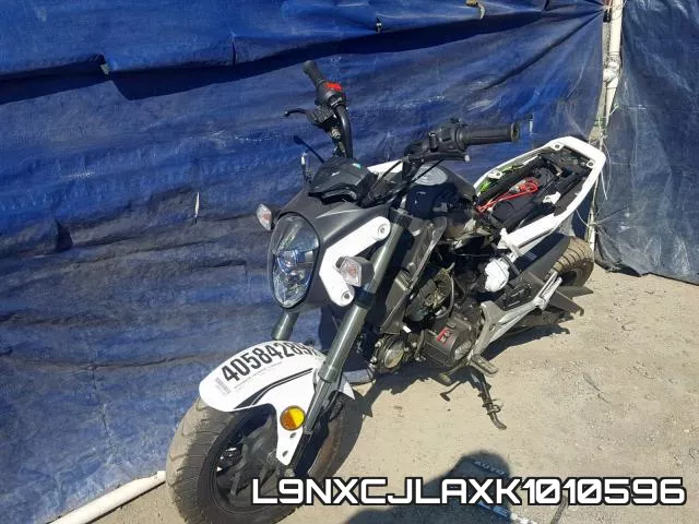 L9NXCJLAXK1010596 фото 3