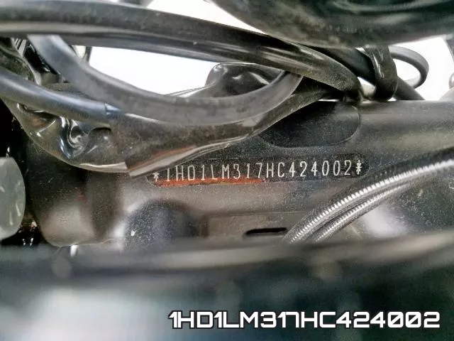 1HD1LM317HC424002 фото 2
