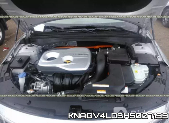 KNAGV4LD3H5007199 фото 2