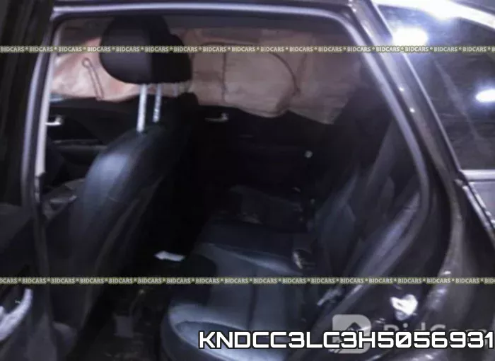 KNDCC3LC3H5056931 фото 9